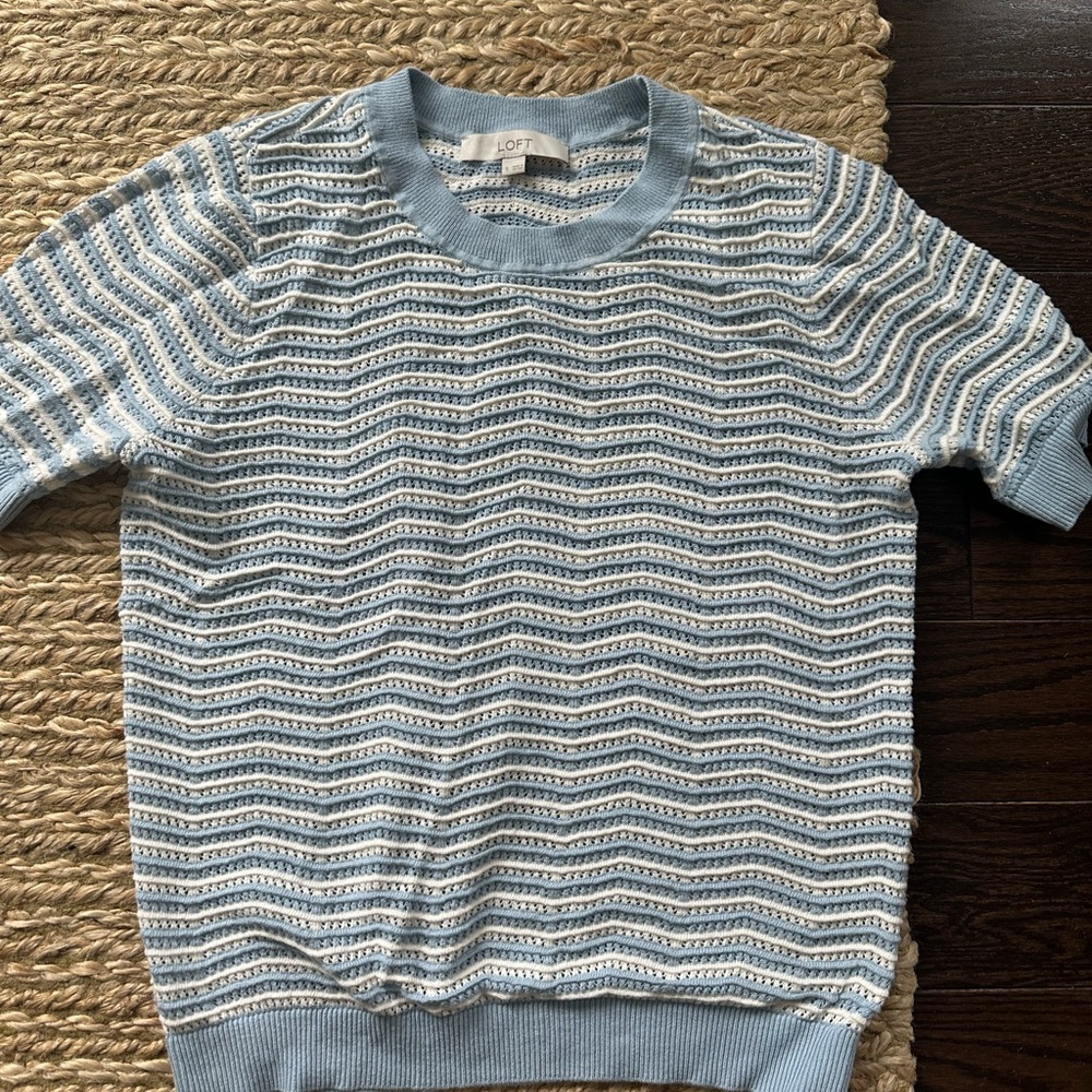 LOFT Blue and White Summer Crew Neck Sweater